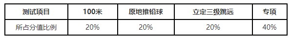 各项目分值比例